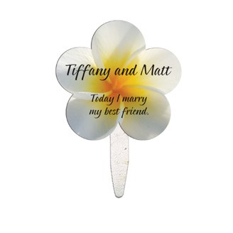 SMBF-24 - Daisy Seed Stick Mini Hand Fan